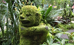 thn00068.jpg