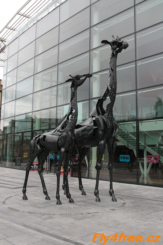 img00003.jpg