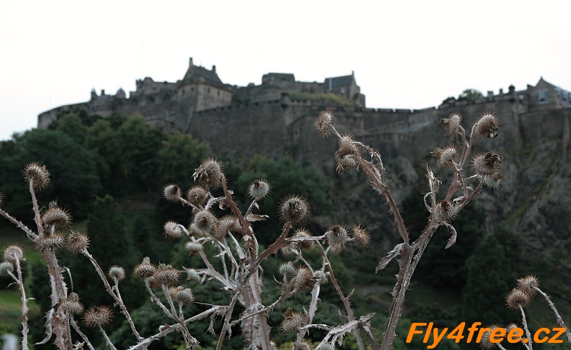 img00037.jpg